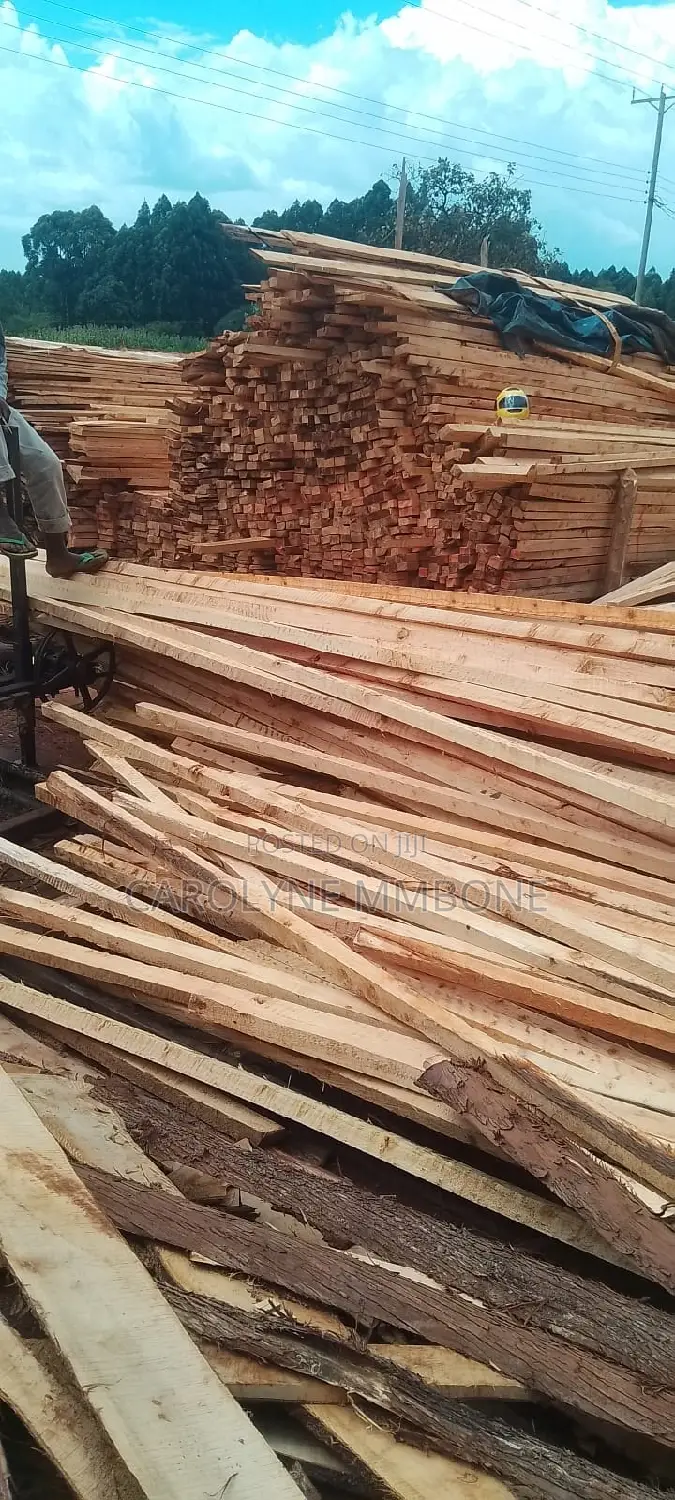 Cyprus Timber