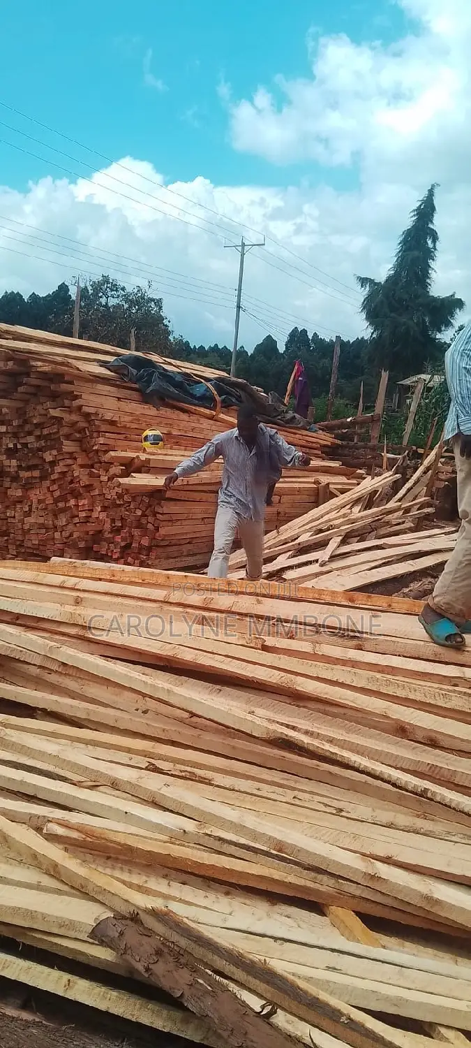 Cyprus Timber