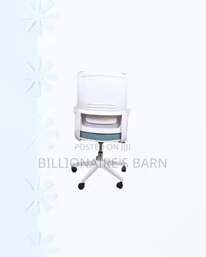 Ergonomic Mesh Office Chair Mid Back Lumbar Support Kenya Wide