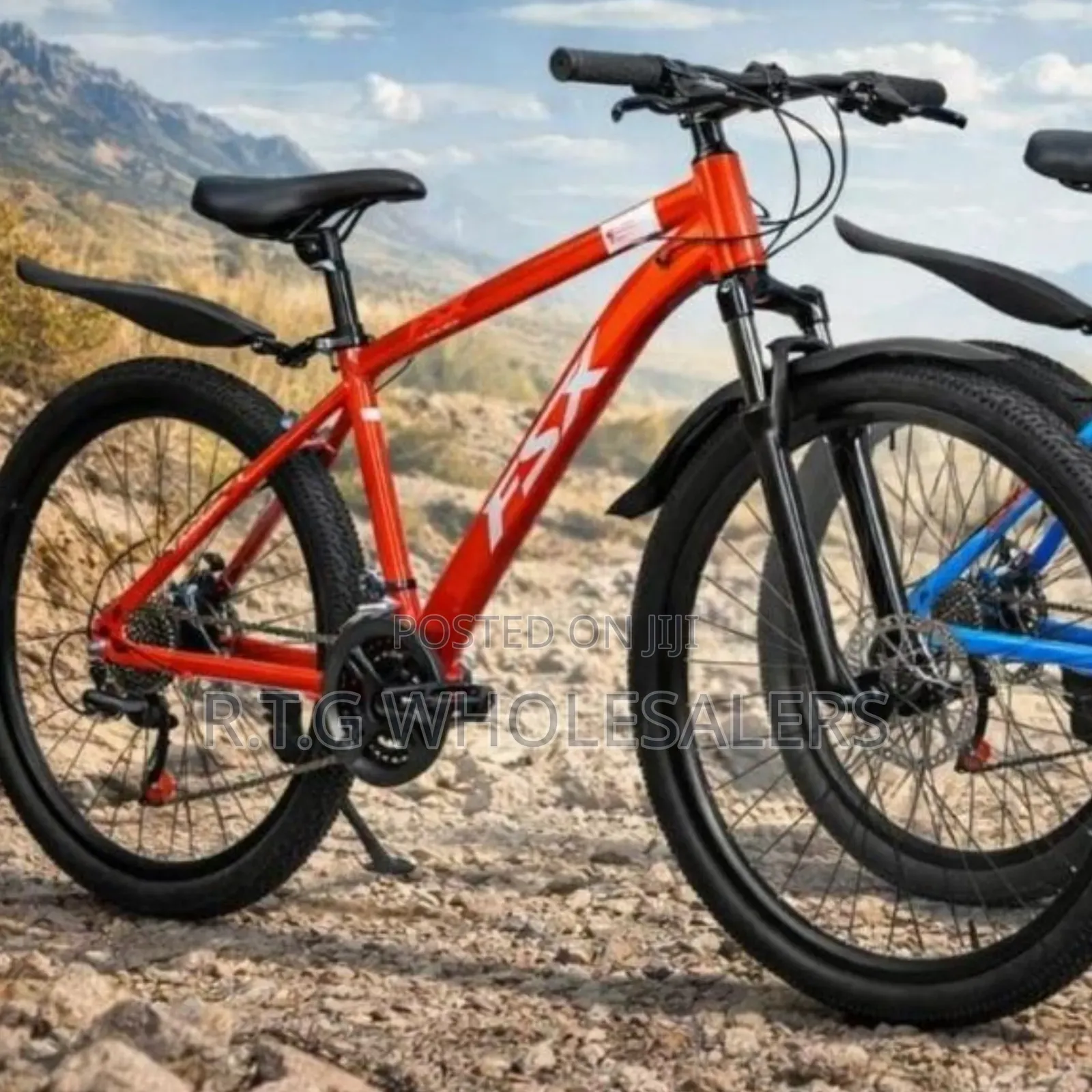 FSX 26 Inch Mountain Bike With Gears Disc Brakes
