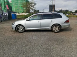 Volkswagen Golf Variant 2010 Silver