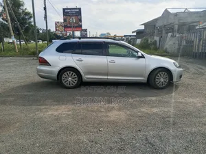 Volkswagen Golf Variant 2010 Silver