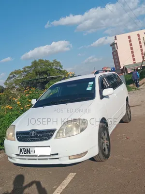 Toyota Corolla Fielder 2004 White