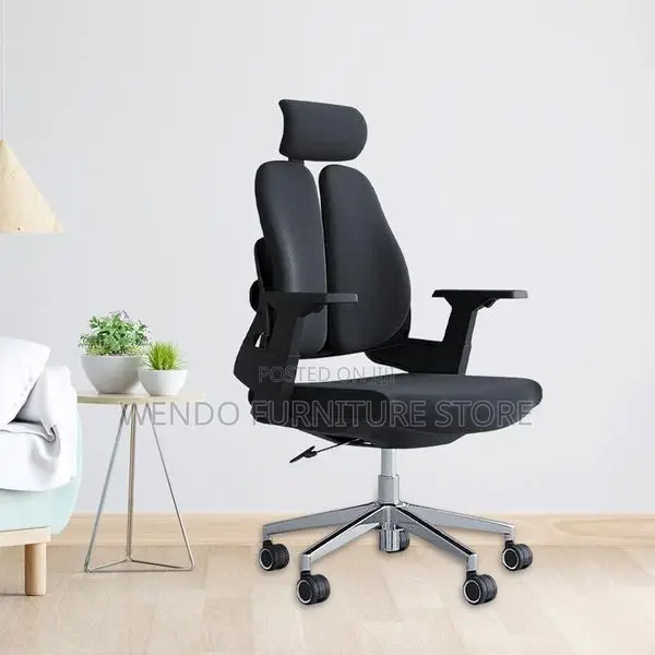 Office Chair : Modern Black Dual-Backrest Ergonomic Office Chair