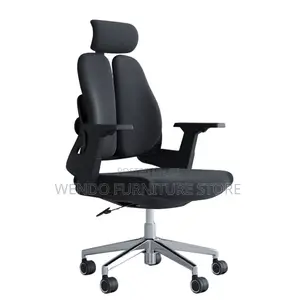 Office Chair : Modern Black Dual-Backrest Ergonomic Office Chair