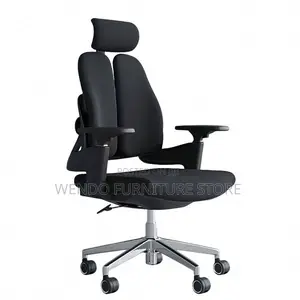Office Chair : Modern Black Dual-Backrest Ergonomic Office Chair