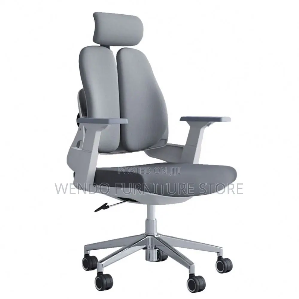 Office Chair : Modern Black Dual-Backrest Ergonomic Office Chair