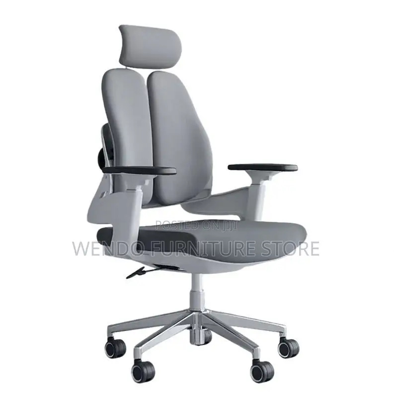 Office Chair : Modern Black Dual-Backrest Ergonomic Office Chair