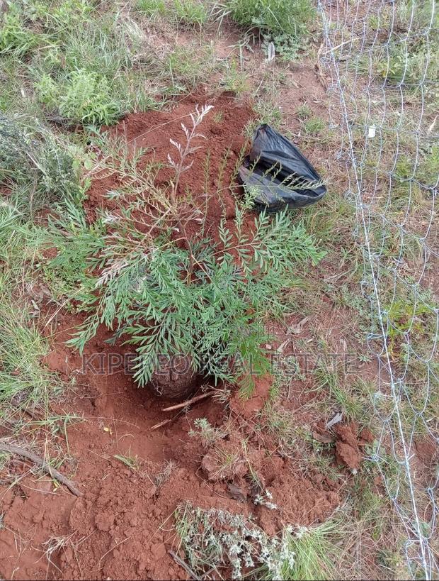 Land for Sale Ngong Kimuka 50 Metres From Tarmac in a Gated Community