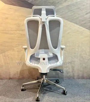 Office Chair : Ergonomic High-Back Mesh Office Chair,