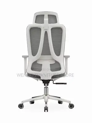 Office Chair : Ergonomic High-Back Mesh Office Chair,