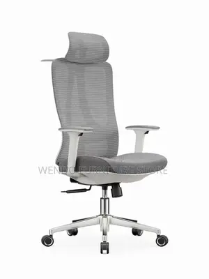 Office Chair : Ergonomic High-Back Mesh Office Chair,