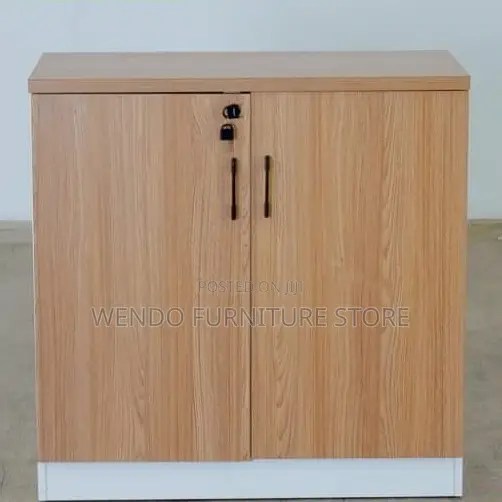 Office Cabinet : Custom Executive Office Storage Cupboard,
