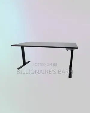1600x800mm Dual Motor Electric Standing Desk Ergonomic Workstation