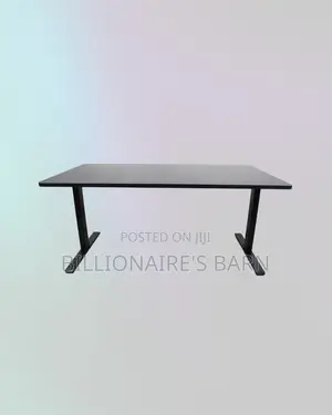 1600x800mm Dual Motor Electric Standing Desk Ergonomic Workstation