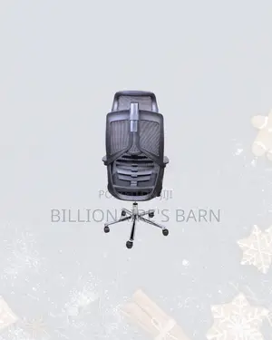 Modern Mesh Office Chair Headrest Lumbar Support Kenya Wide Shipping