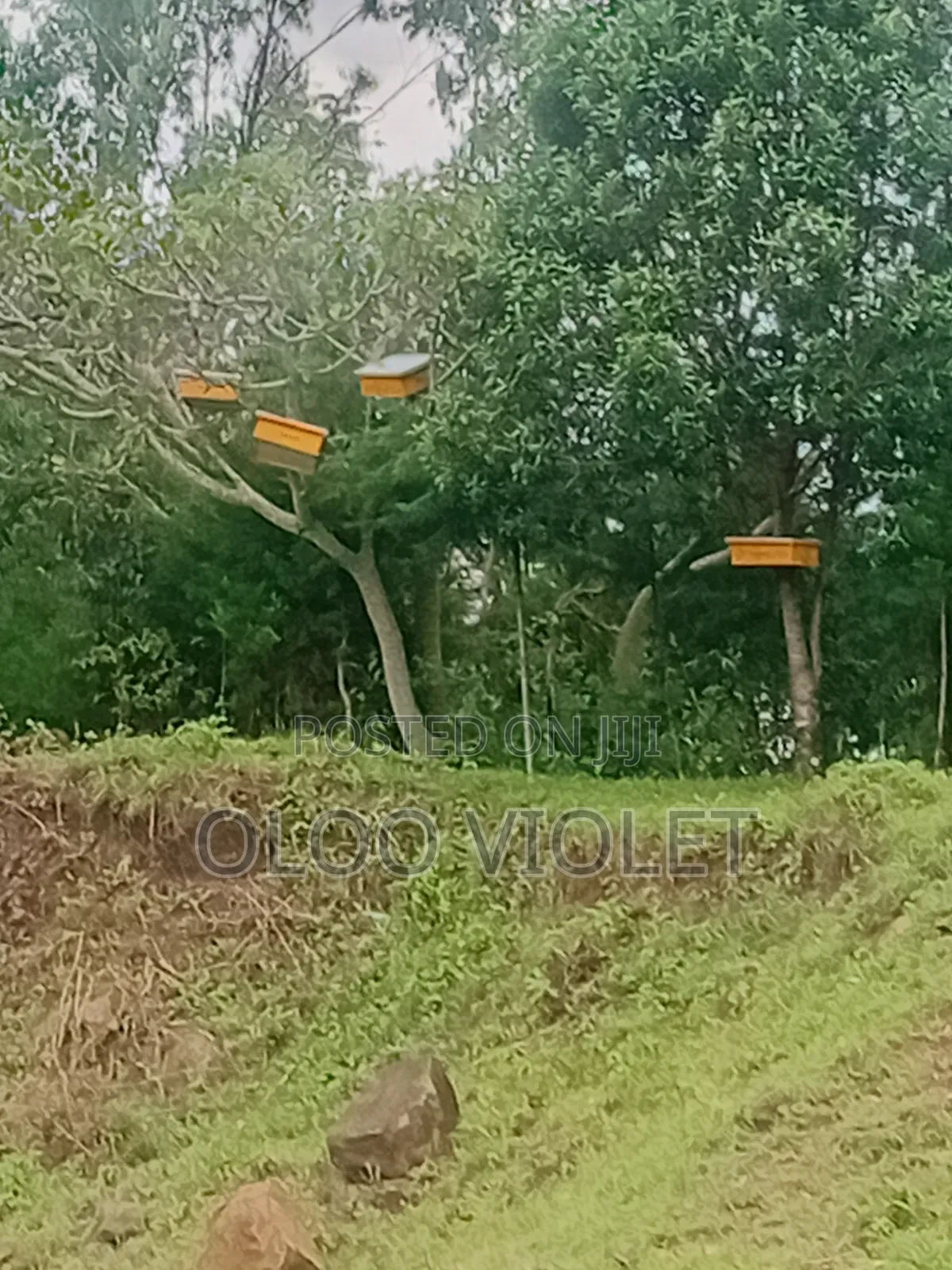 Homabay Lodge Facilities