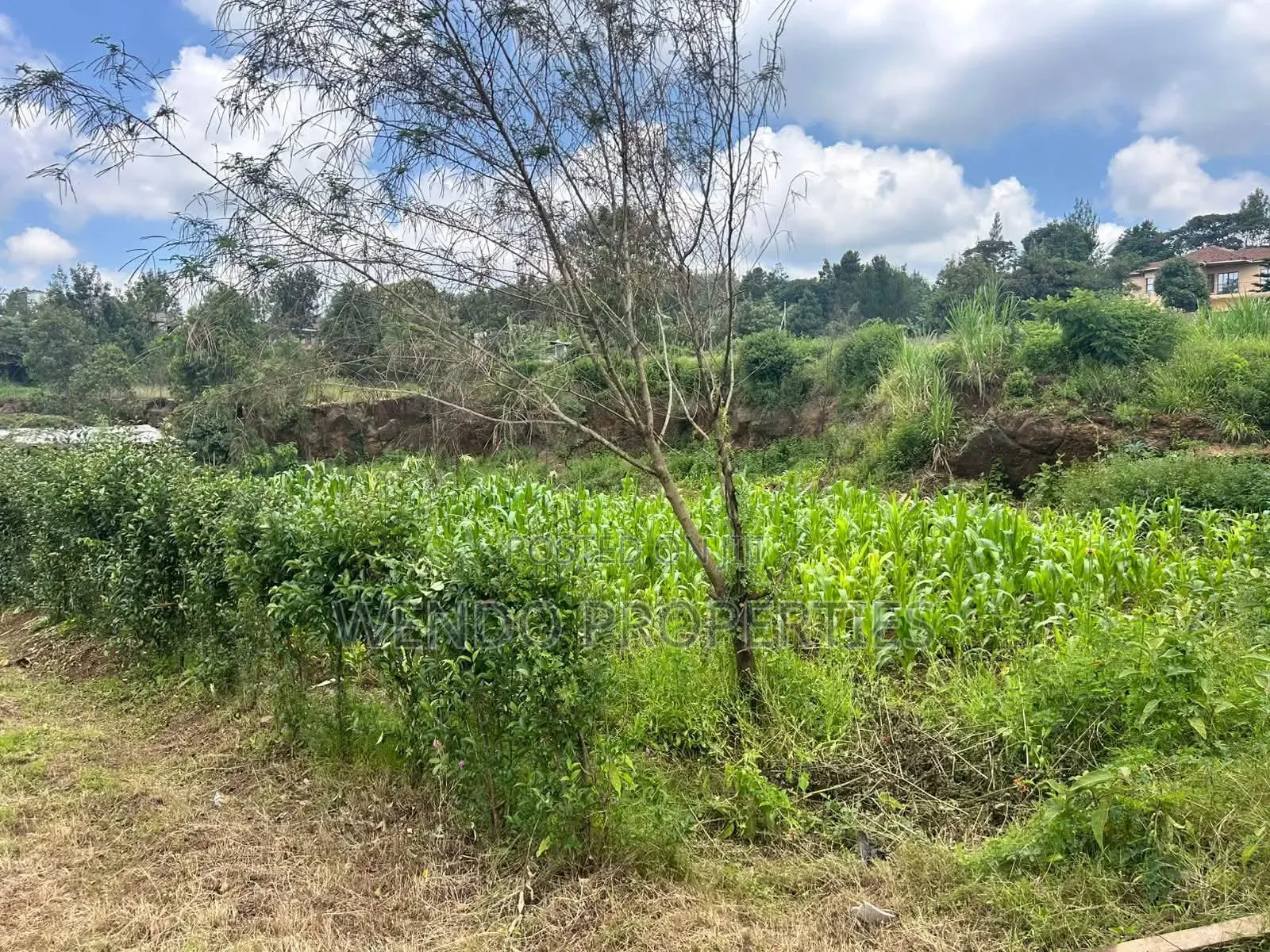 Quarter Acre for Sale