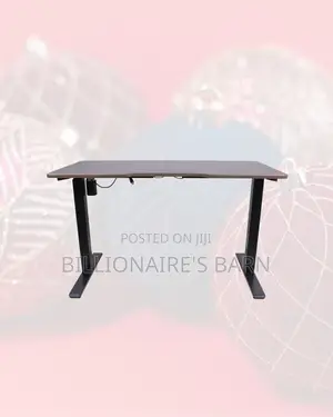 Single Motor Electric Standing Desk Ergonomic One Piece Sit