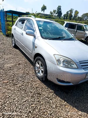 Toyota Allex 2004 Silver