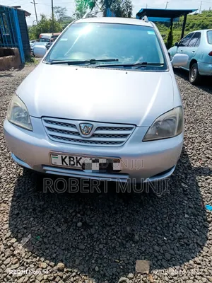 Toyota Allex 2004 Silver