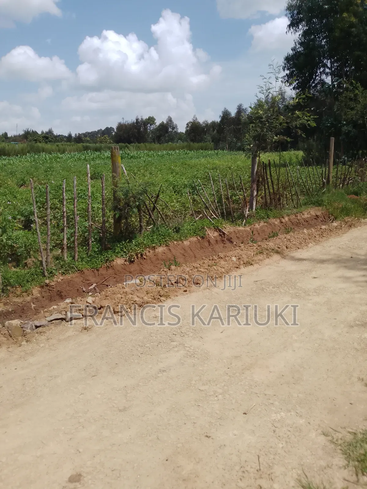 Looking for Plots I Gat U