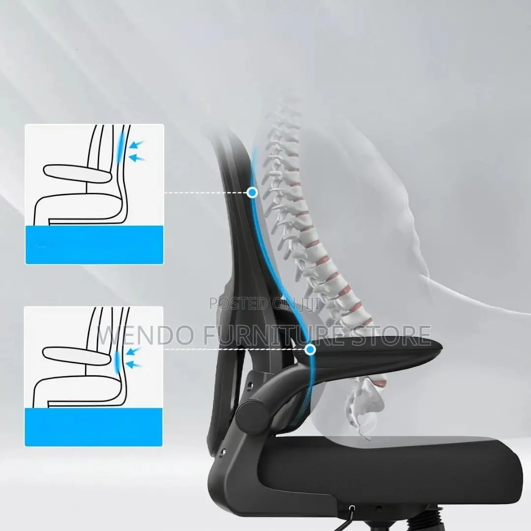 Office Chair : Black Ergonomic Mesh High-Back Office Chair