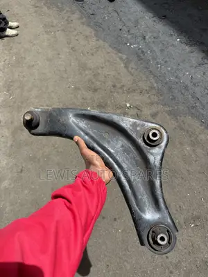 Nissan Juke Arm