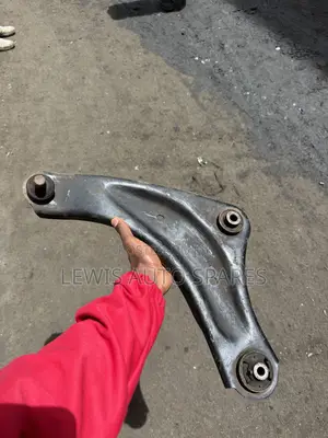 Nissan Juke Arm