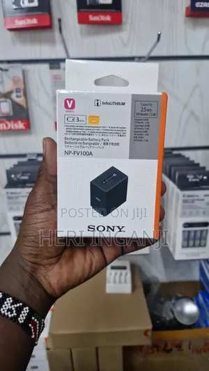 Sony Fv100a Battery