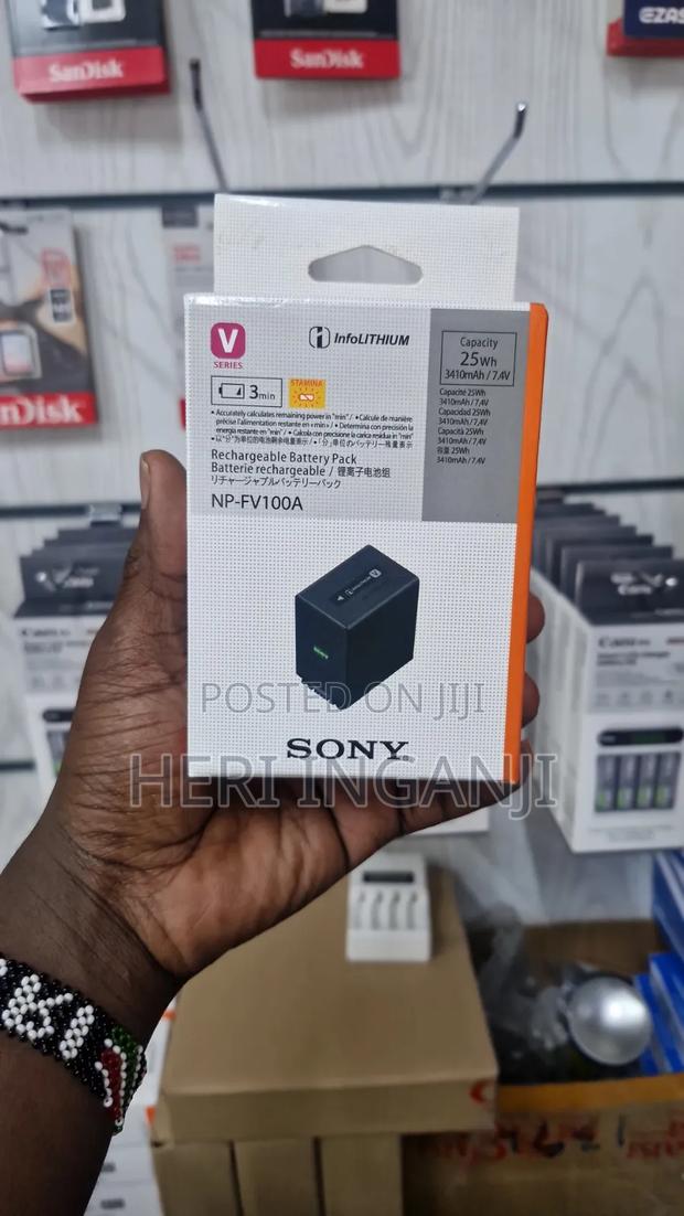 Sony Fv100a Battery