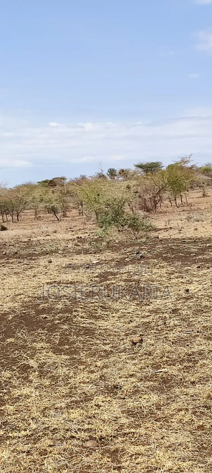 3 Acres Land for Sale Along Meru Isiolo Road Near Kisimani