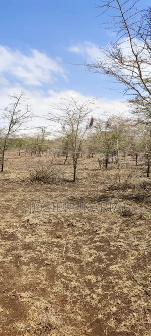 3 Acres Land for Sale Along Meru Isiolo Road Near Kisimani