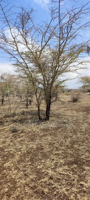 3 Acres Land for Sale Along Meru Isiolo Road Near Kisimani