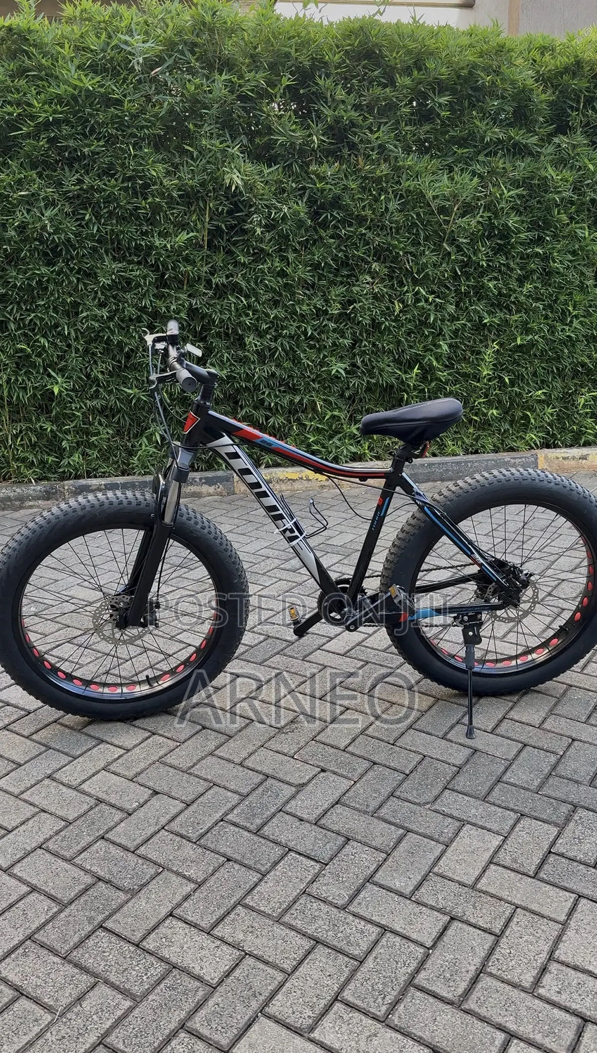 Fat-Tyre Bicycle