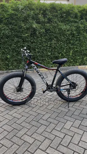 Fat-Tyre Bicycle