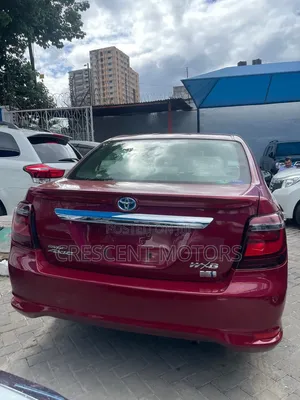 Toyota Axio 2019 Red