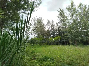 Prime Residential Plot
