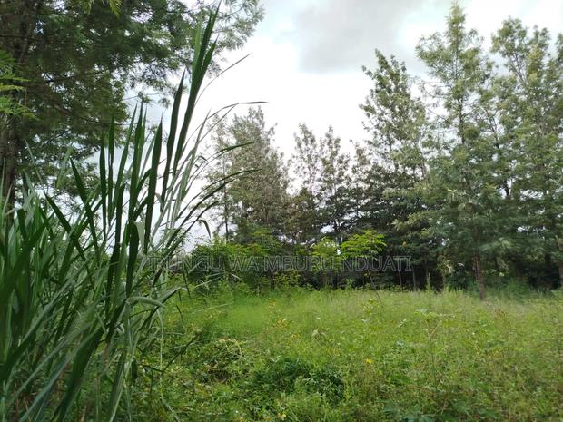 Prime Residential Plot