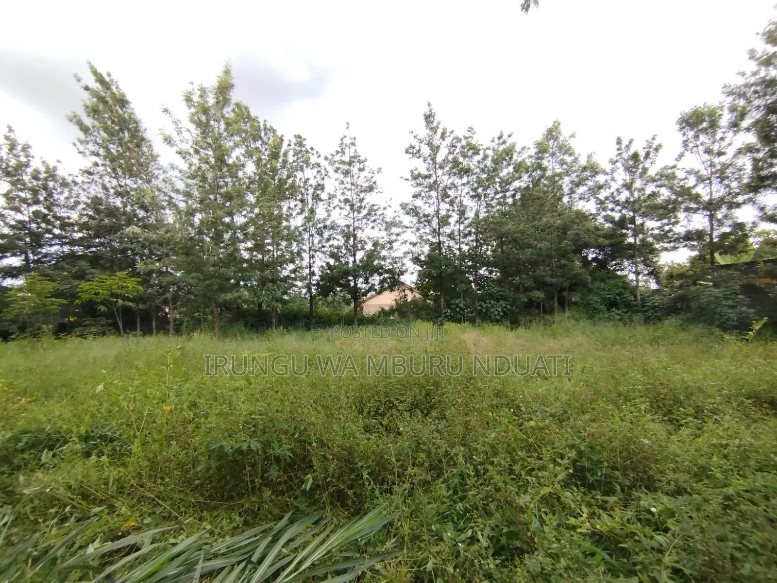 Prime Residential Plot
