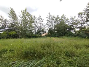 Prime Residential Plot