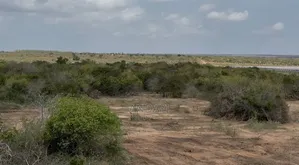 1000 Acres of Land for Sale in Malindi