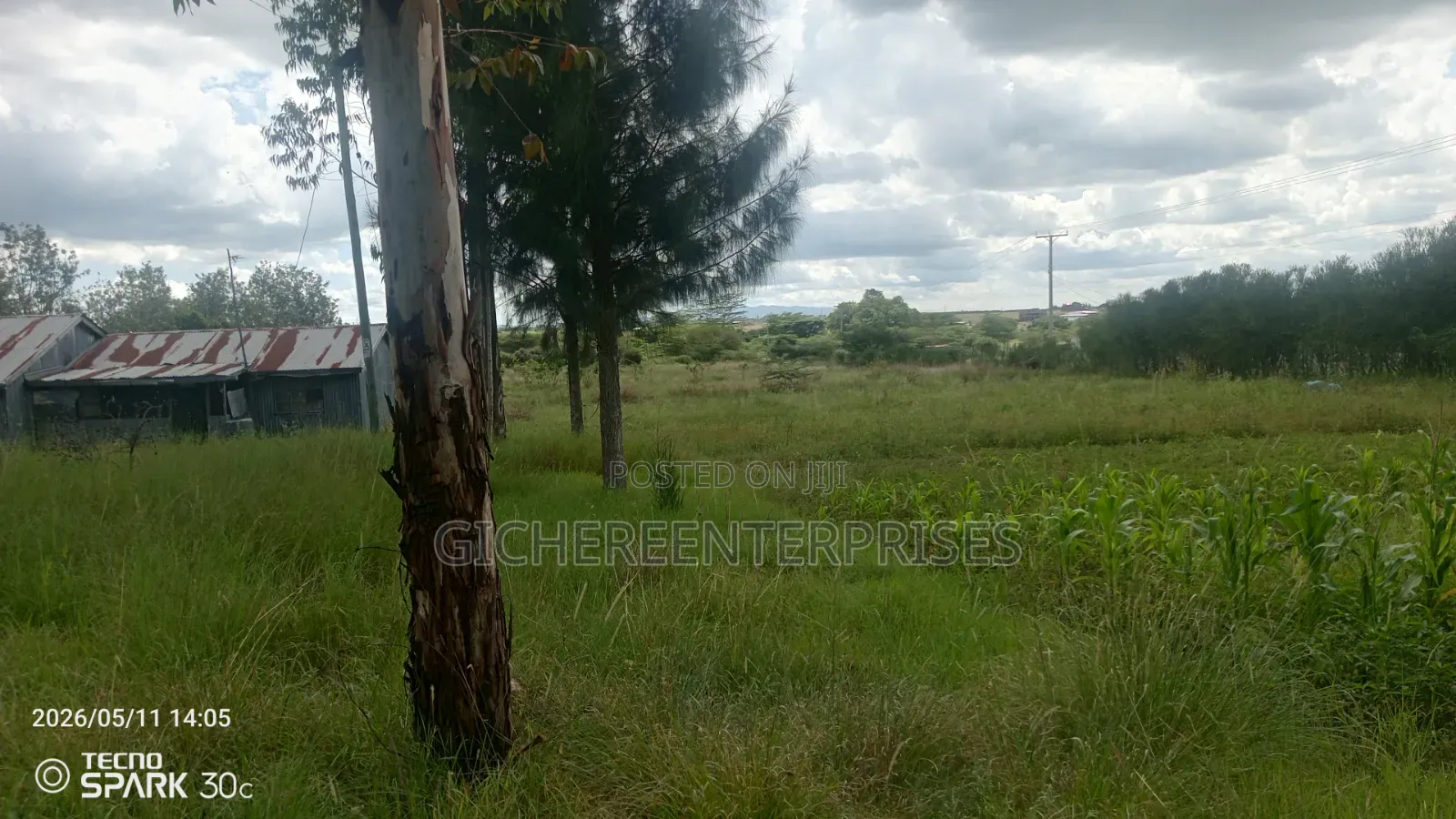 Kitengela Kisanju