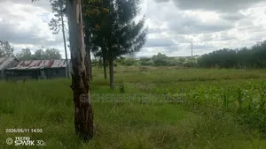 Kitengela Kisanju