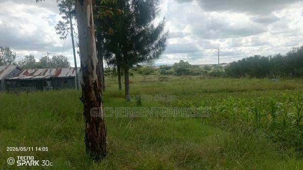 Kitengela Kisanju - thumbnail 2
