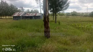 Kitengela Kisanju