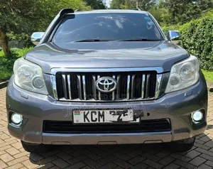Toyota Land Cruiser 2010 Gray