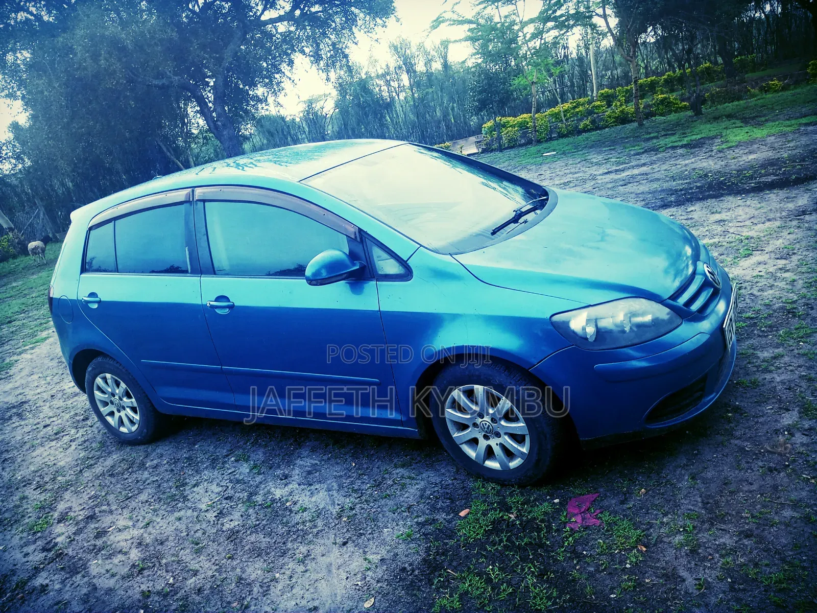 Volkswagen Golf 2006 Blue