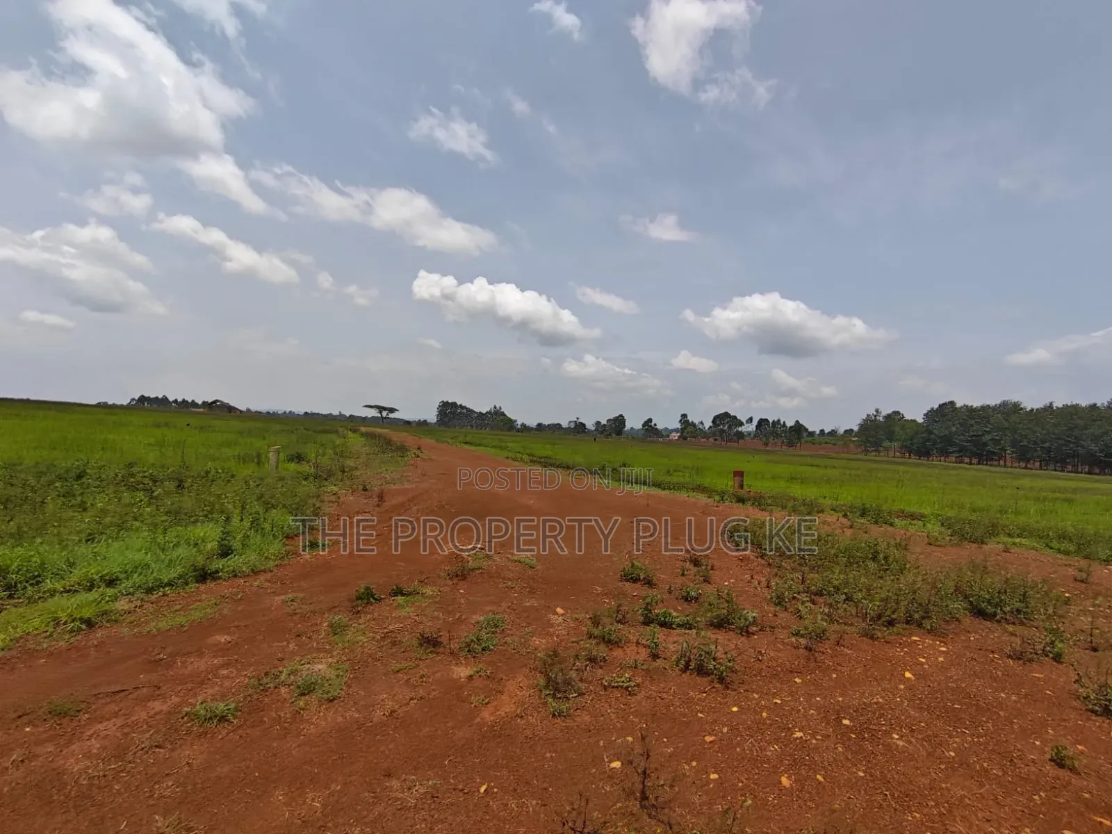 1/4 Acre Plots for Sale in Kitale