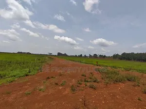 1/4 Acre Plots for Sale in Kitale